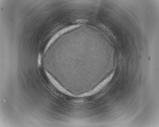 X0000085840075200704091734