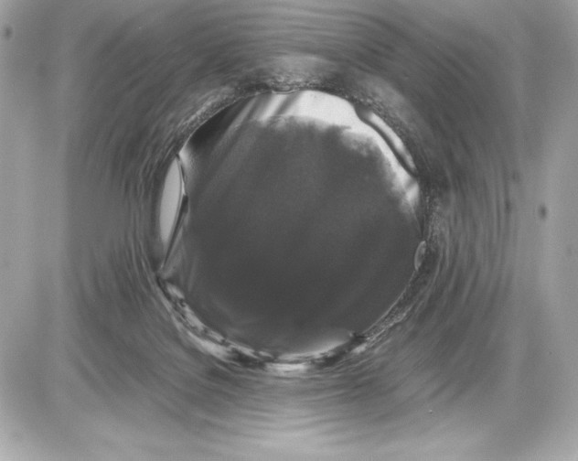 X0000085840076200704091734