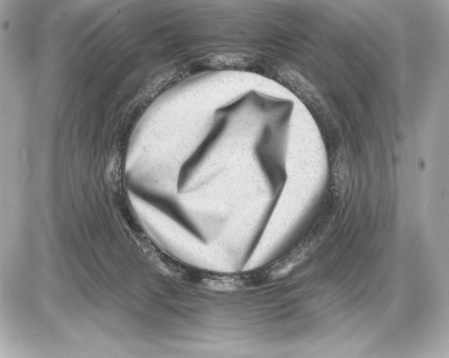 X0000085840079200704091734