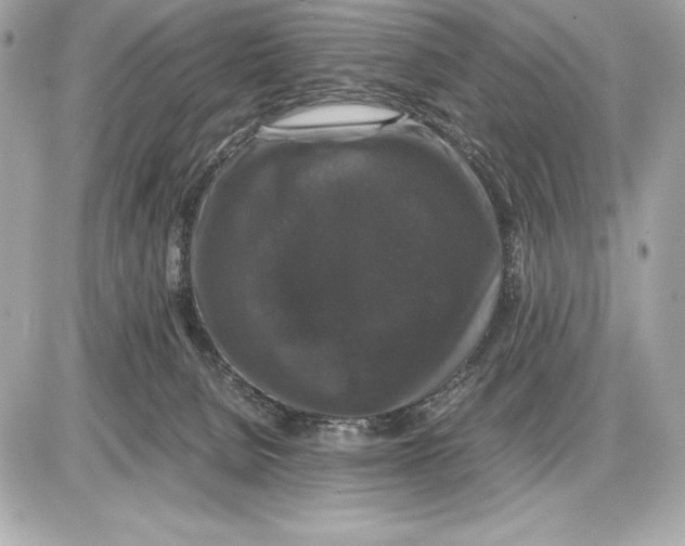 X0000085840080200704091734