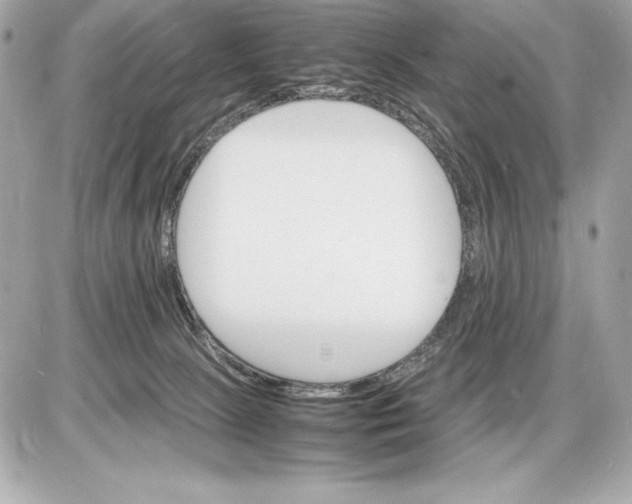 X0000085840081200704091734