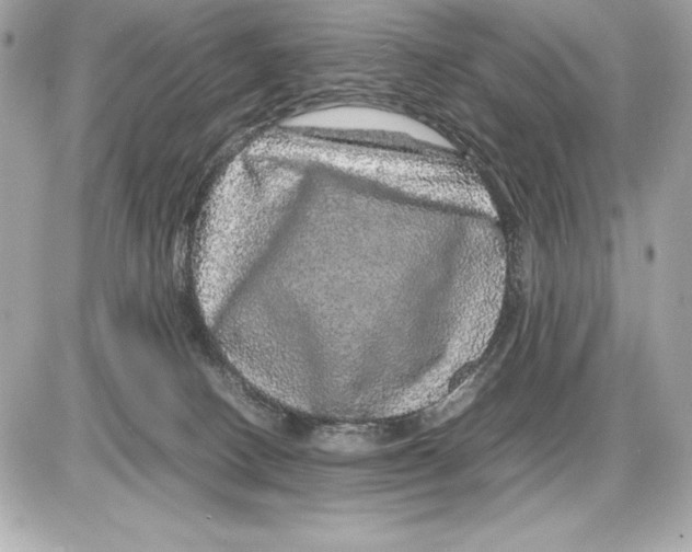 X0000085840082200704091734