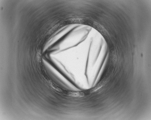 X0000085840083200704091734