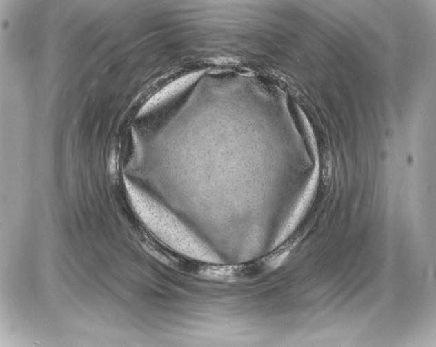 X0000085840084200704091734