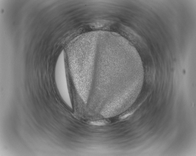 X0000085840085200704091734