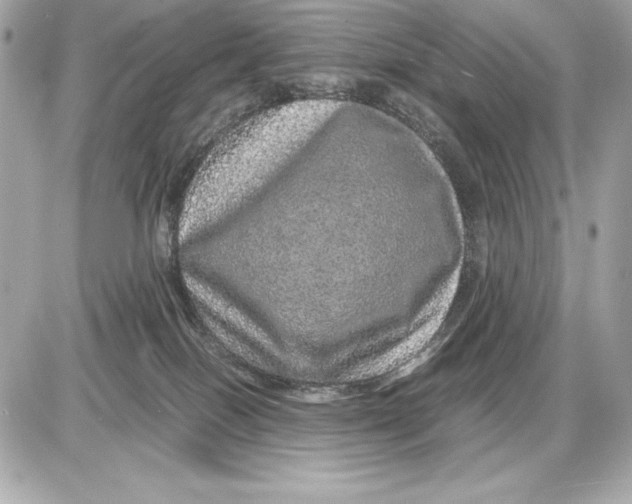 X0000085840086200704091734