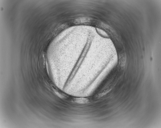 X0000085840087200704091734