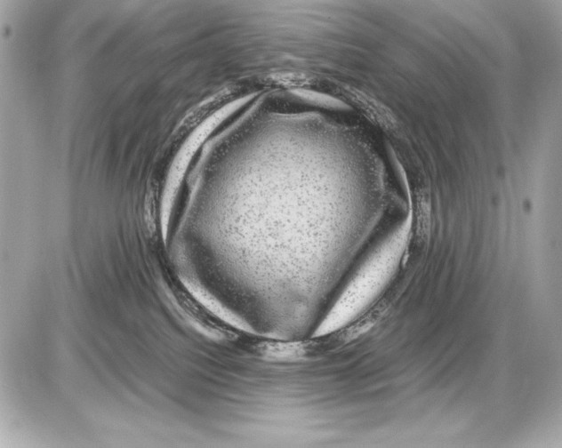 X0000085840088200704091734