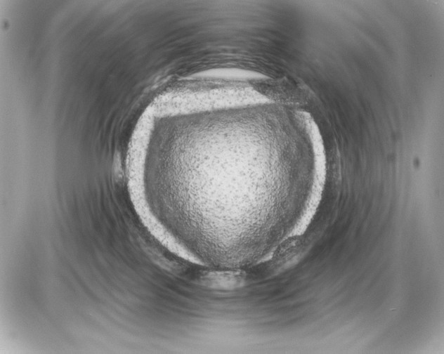 X0000085840089200704091734