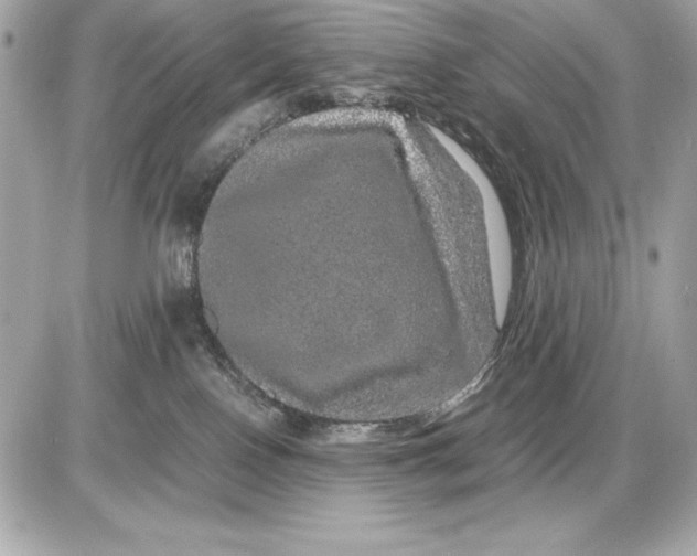 X0000085840090200704091734