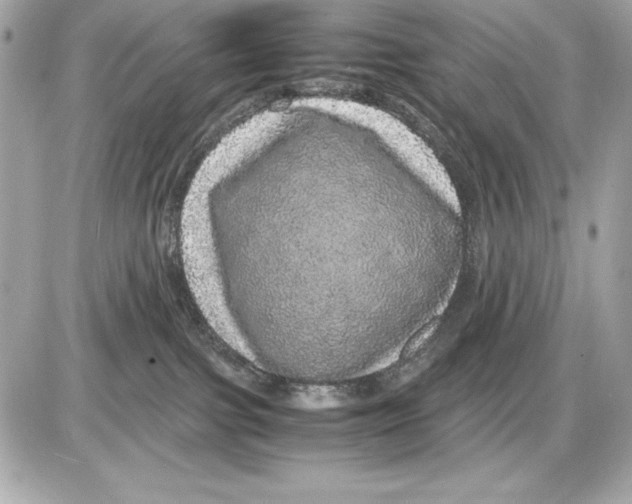 X0000085840091200704091734