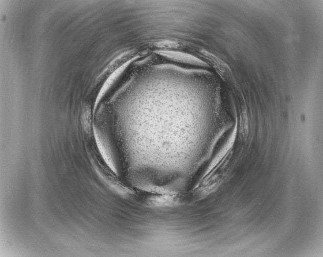 X0000085840092200704091734