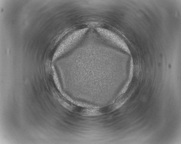 X0000085840093200704091734