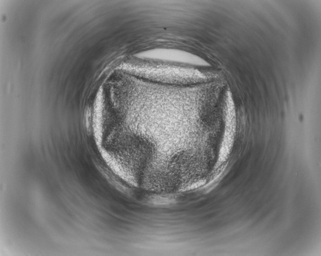 X0000085840094200704091734