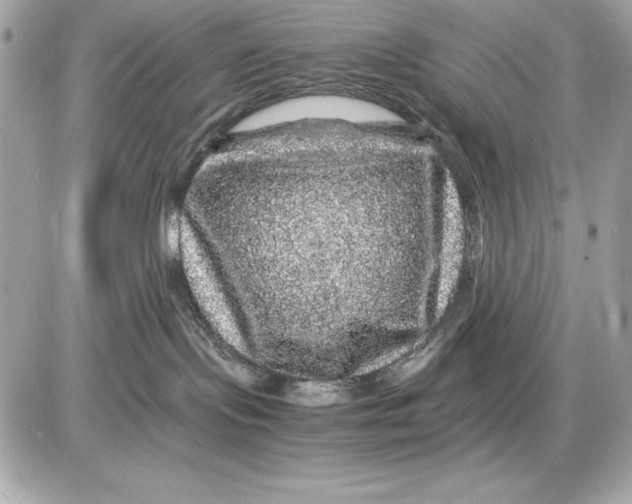 X0000085840095200704091734