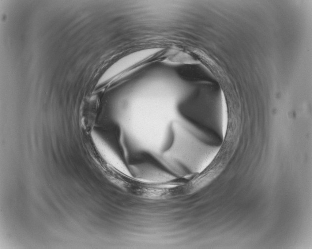 X0000085840096200704091734