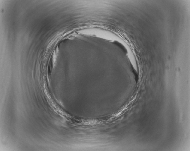 X0000085840097200704091734