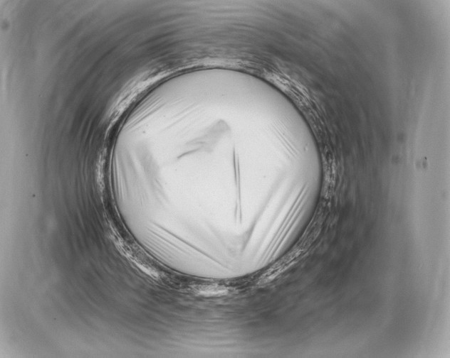 X0000085840098200704091734