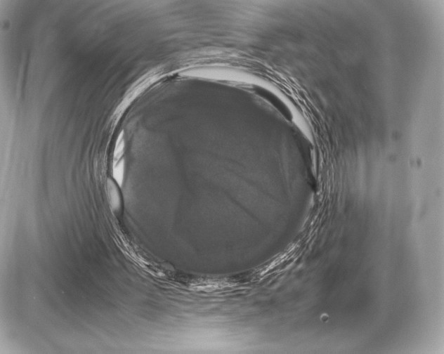 X0000085840099200704091734