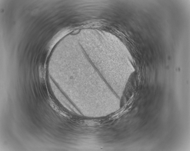 X0000085840100200704091734