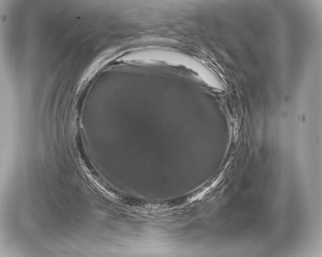 X0000085840101200704091733