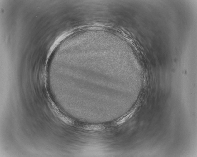 X0000085840102200704091733