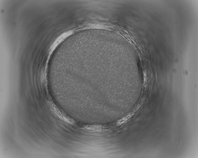 X0000085840104200704091733