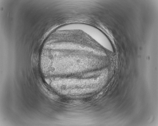 X0000085840107200704091733