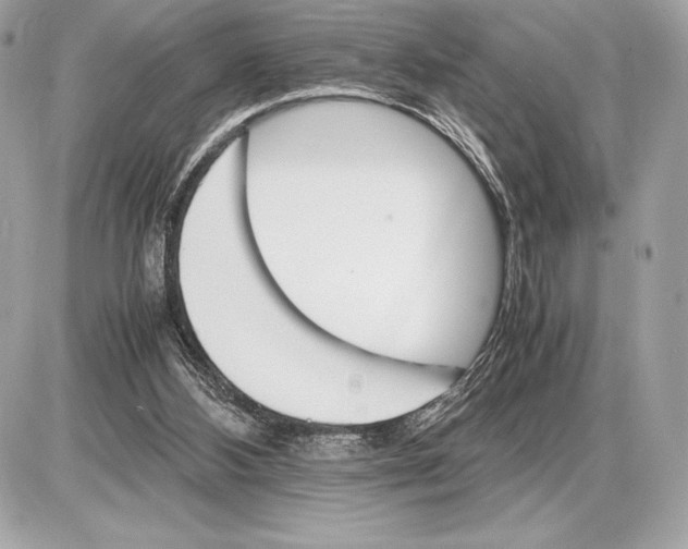 X0000085840108200704091733