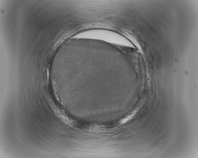 X0000085840109200704091733