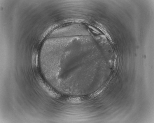 X0000085840110200704091733