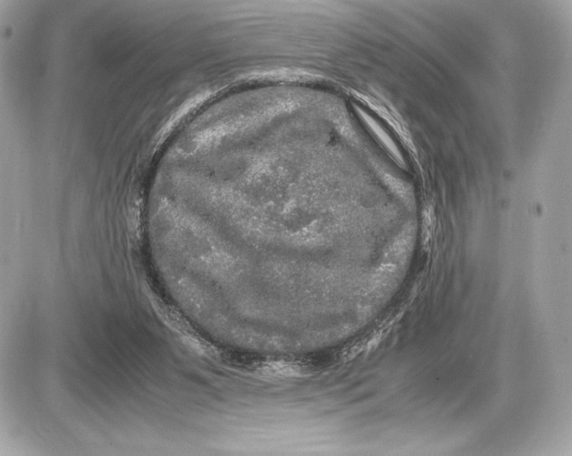 X0000085840111200704091733