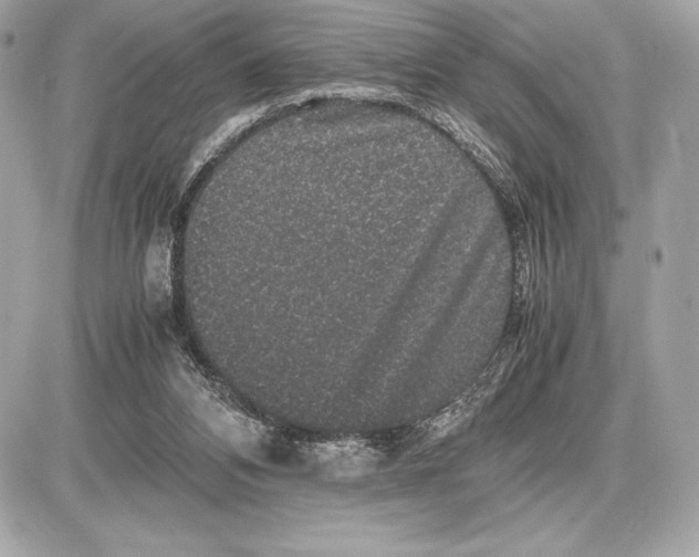 X0000085840112200704091733