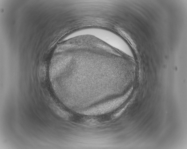 X0000085840113200704091733