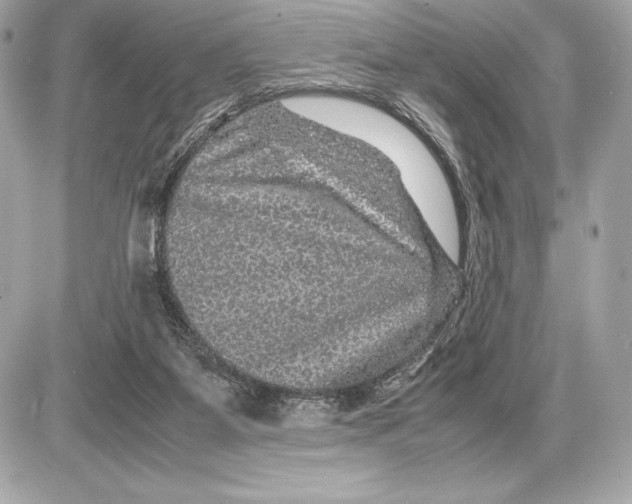 X0000085840115200704091733