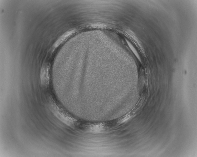 X0000085840116200704091733