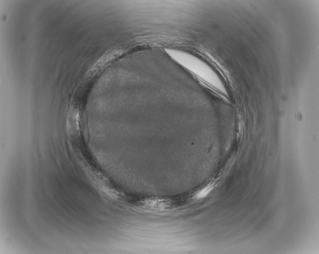 X0000085840117200704091733