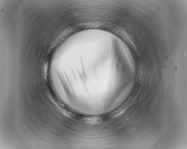 X0000085840118200704091733