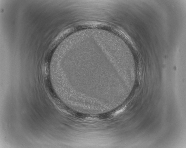 X0000085840119200704091733