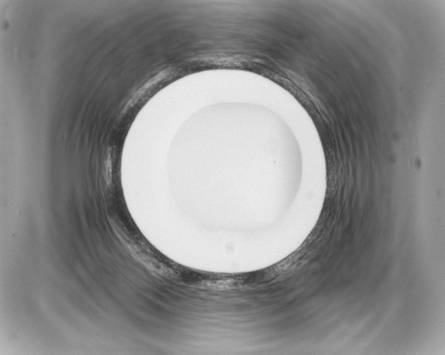 X0000085840120200704091733