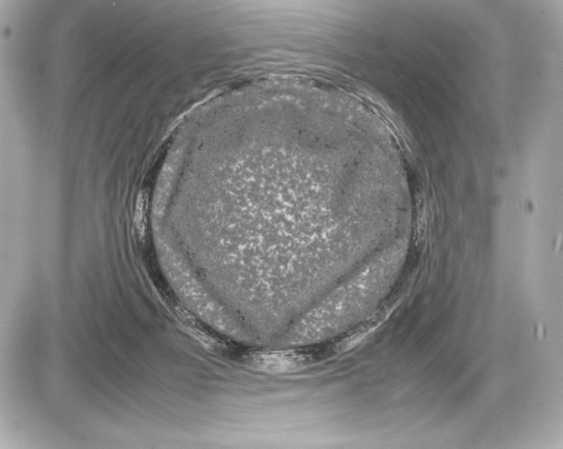 X0000085840121200704091733