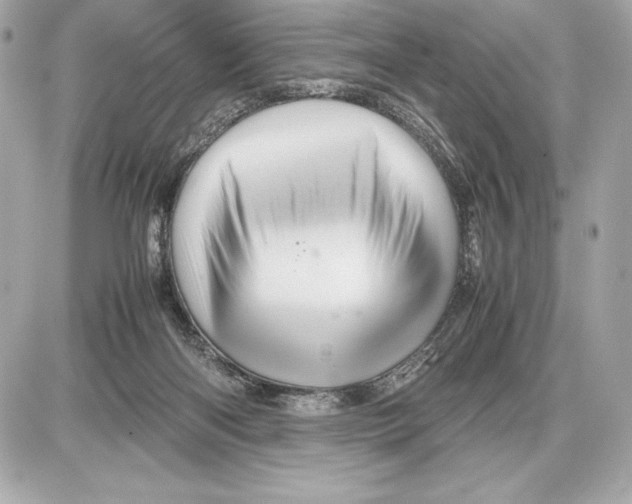 X0000085840122200704091733