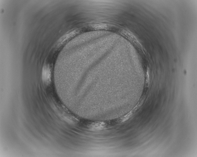 X0000085840124200704091733