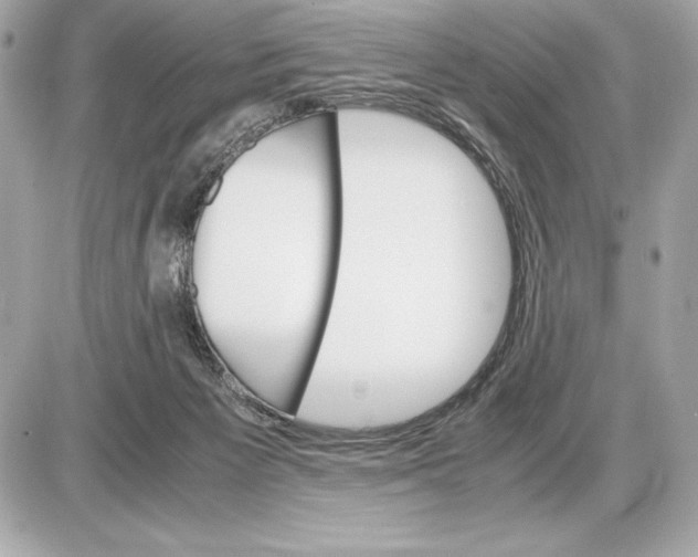 X0000085840125200704091733