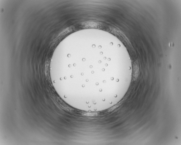 X0000085840126200704091733