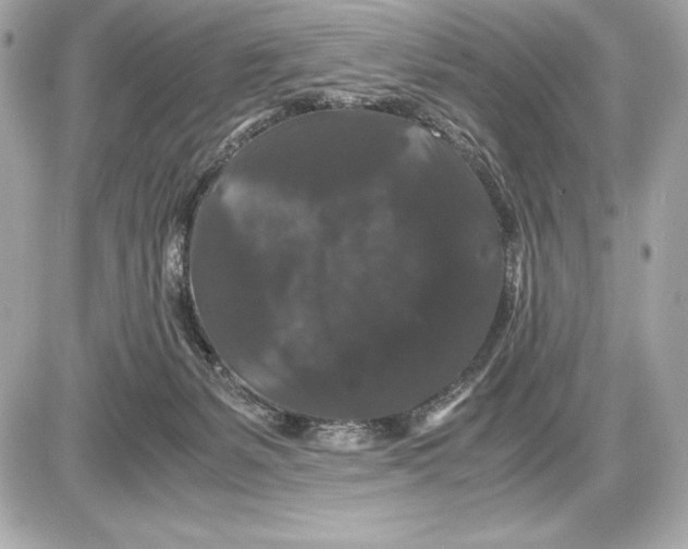 X0000085840127200704091733