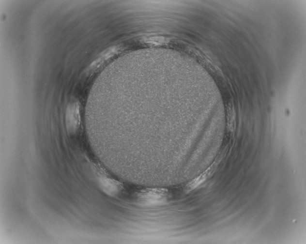 X0000085840128200704091733