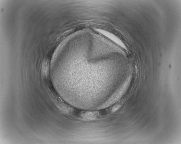 X0000085840129200704091733