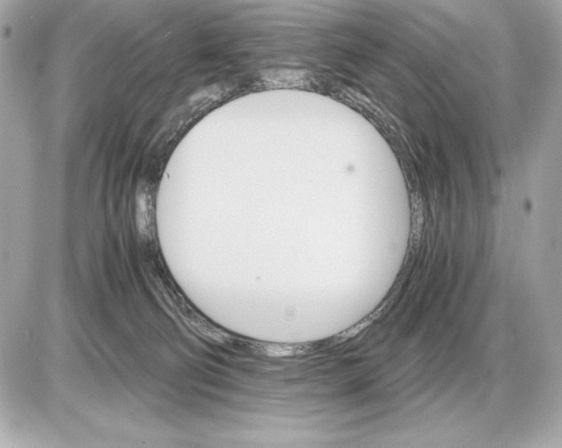 X0000085840130200704091733