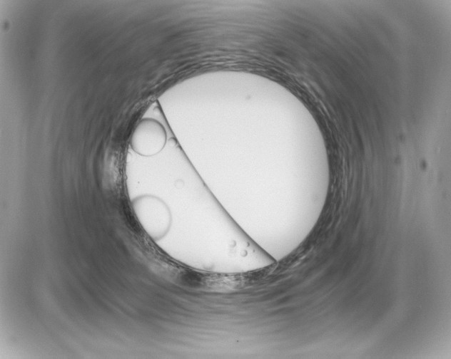 X0000085840131200704091733